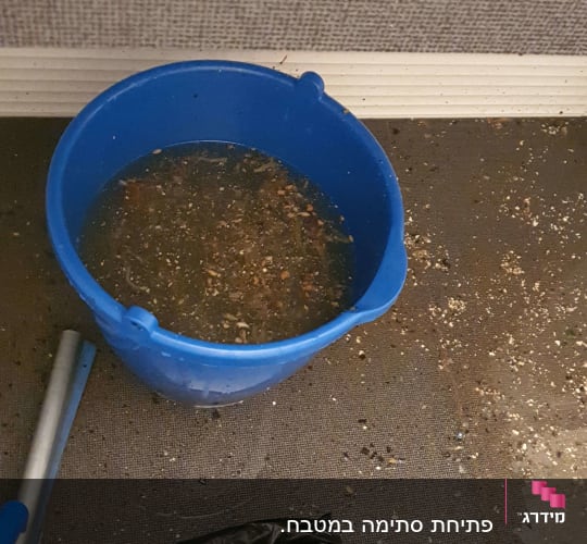 דלי כחול עם מים מלוכלכים על הרצפה